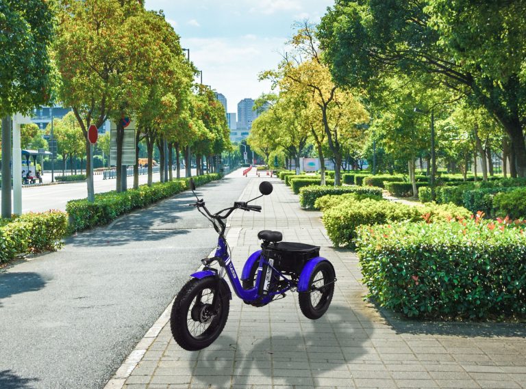 karoev-produit-cargo-02